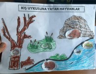 Kış uykusuna yatan hayvanlar