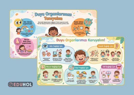 Duyu Organlarımız