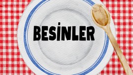 4.sınıf besinler