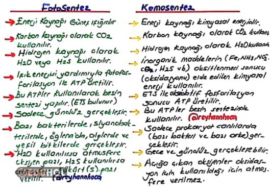 FOTOSENTEZ-KEMOSENTEZ KARŞILAŞTIRILMASI