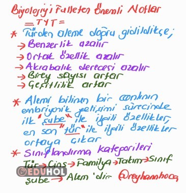 Sınıflandırma İlkeleri- Biyolojiyi Fulleten Önemli Notlar