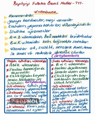 Vitaminler 9.Sınıf Biyoloji
