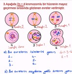 10. SINIF BİYOLOJİ 1.DÖNEM 2.YAZILI SORU VE CEVAPLARI 2023-2024