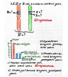 10. Sınıf Biyoloji 1Dönem 2. Yazılı 2022-2023