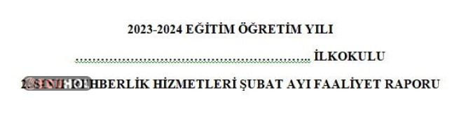 Rehberlik Raporu (Şubat Ayı)