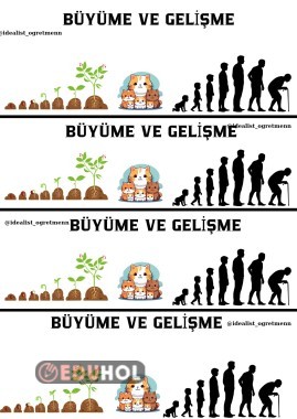 Canlıların Ortak Özellikleri Büyüme ve Gelişme