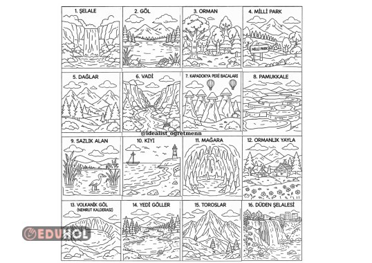 DOĞAL ÇEVRE ÖRNEKLERİ