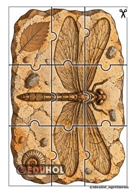 FOSİL PUZZLE-3