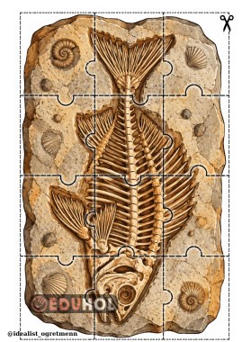FOSİL PUZZLE-5