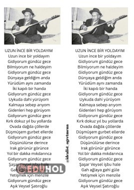 TÜRKÇE DERSİ ANADOLU ŞİİRİ AŞIK VEYSEL DEFTER YAPIŞTIRMA ÇALIŞMASI