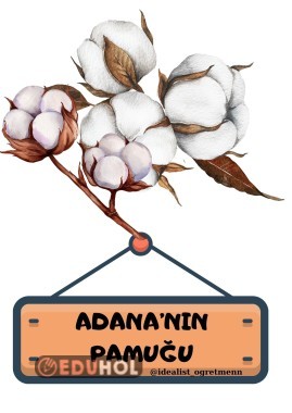 Yerli Malı-Adana'nın Pamuğu