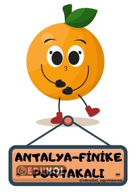 Yerli Malı Finike Portakalı