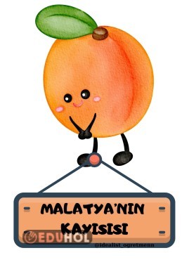 Yerli Malı Malatya'nın Kayısısı