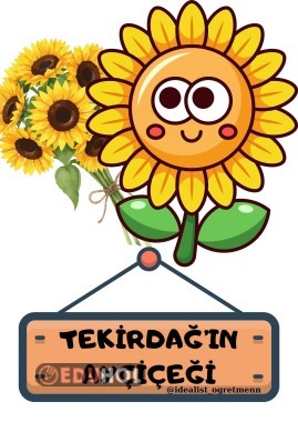 Yerli Malı-Tekirdağ'ın Ayçiçeği