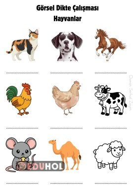 Özel Eğitim, Görsel Dikte Çalışması-Hayvanlar
