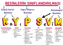 Kayıp Sevim Besinlerin Sınıflandırılması