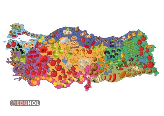 YERLİ MALI HARİTASI