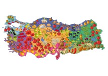 Yerli Malı Haritası