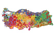 YERLİ MALI HARİTASI