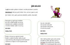 Şiir Bilgisi Etkinlik