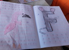 F harfi defter görseli