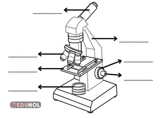 Mikroskop Bölümleri - Defter Etkinliği