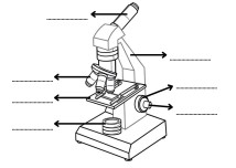 Mikroskop Bölümleri - Defter Etkinliği