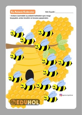 2. sınıf Eş Anlamlı Kelimeler Arı Kovan Etkinliği