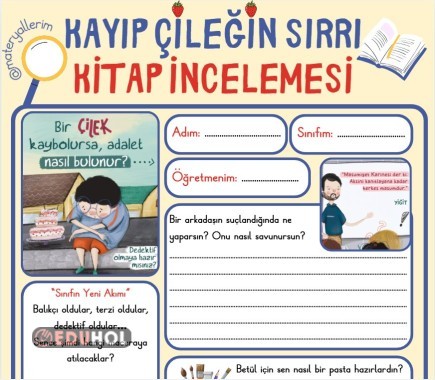 Kayıp Çileğin Sırrı - Kitap İnceleme