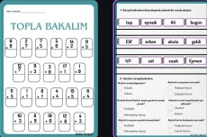 16-20 Şubat Hafta Tekrarı