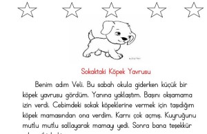 Sokaktaki Köpek