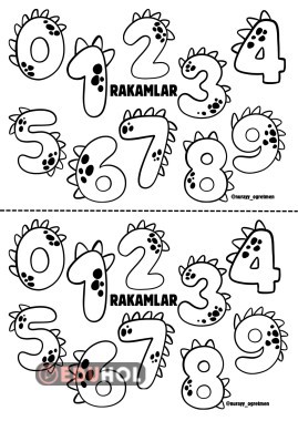 RAKAMLAR VE YÜZLÜK TABLO SİYAH-BEYAZ