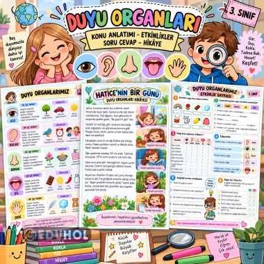 Duyu Organlarımız