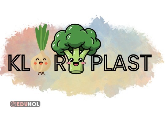 Hücre ve Organeller