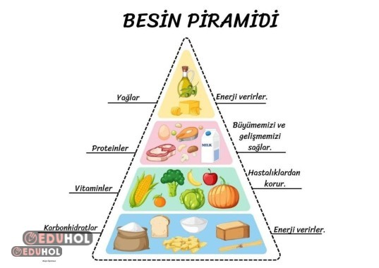 Besin piramidi pano veya defter için