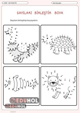 Sayıları Birleştir Boya