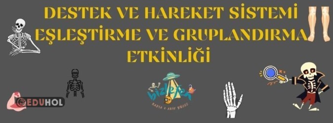 Destek ve Hareket Sistemi Eşleştirme / Gruplandırma Etkinliği
