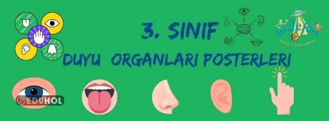Duyu Organları Posterleri
