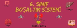 Boşaltım sistemi online test 1