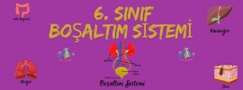 Boşaltım sistemi online test 2