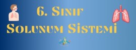 Solunum Sistemi Online Test 2