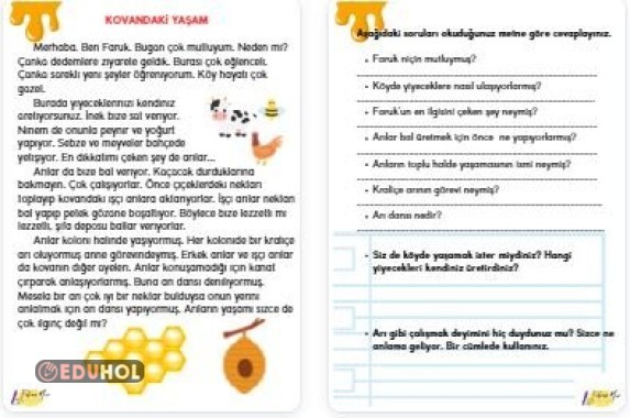 KOVANDAKİ YAŞAM OKUDUĞUNU ANLAMA METNİ