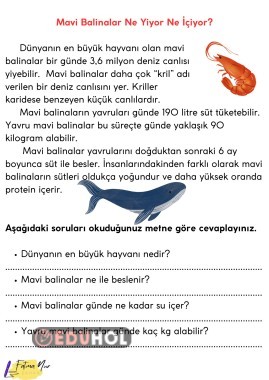MAVİ BALİNALAR NE YİYOR NE İÇİYOR OKUDUĞUNU ANLAMA ÇALIŞMASI