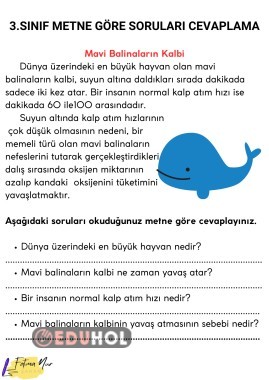 MAVİ BALİNANIN KALBİ OKUDUĞUNU ANLAMA