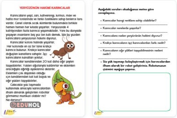 YERYÜZÜNÜN HAKİMİ KARINCALAR OKUDUĞUNU ANLAMA METNİ