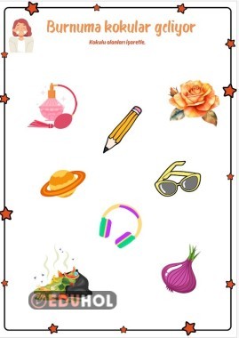 Kavramlar Sayfa Çalışması (kokulu-kokusuz)