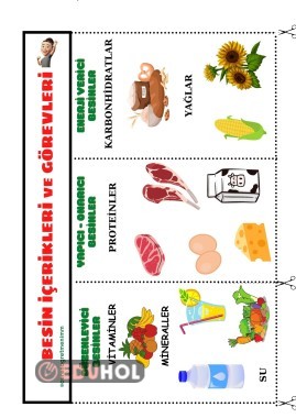 Besin İçerikleri ve Görevleri