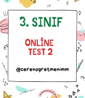 MİNİ TEST 2