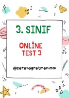 MİNİ TEST 3