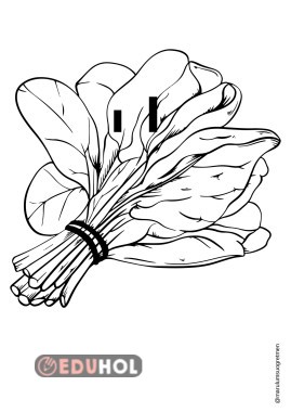 I sesi ıspanak boyama